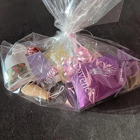 Proche Du Casino Et Sequarium