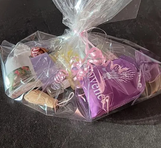 Proche Du Casino Et Sequarium